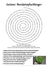 Grüner Hundskopfschlinger.pdf